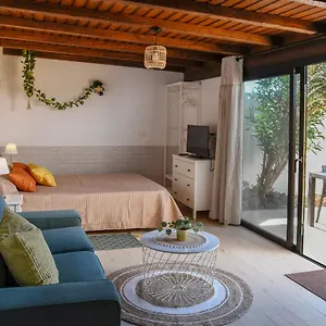 Mini Loft Tesa , Mácher España